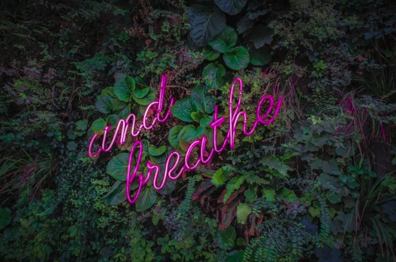 Feature Photo by Victor Garcia on Unsplash; photo of glowing lights that say &quot;and breathe&quot; amidst a floral background